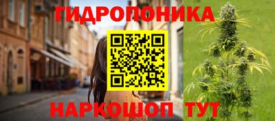 ECSTASY Обь