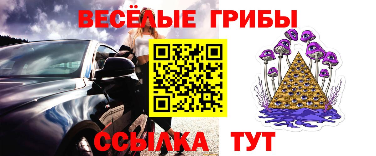 Галлюциногенные грибы Psilocybine cubensis  Вход с VPN  Псилоцибиновые грибы Magic Shrooms  Солнечногорск 