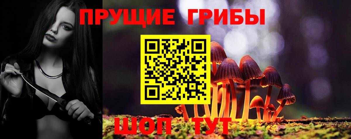 ГАШИШ  Бошки Шишки  Солнечногорск  Вход с VPN  Метадон  Меф МЯУ МЯУ   Альфа ПВП СК кристаллы 